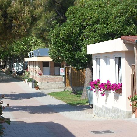 Camping Vallecrosia Kültér fotó