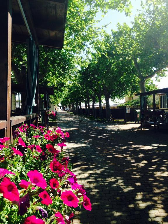 Camping Vallecrosia Kültér fotó
