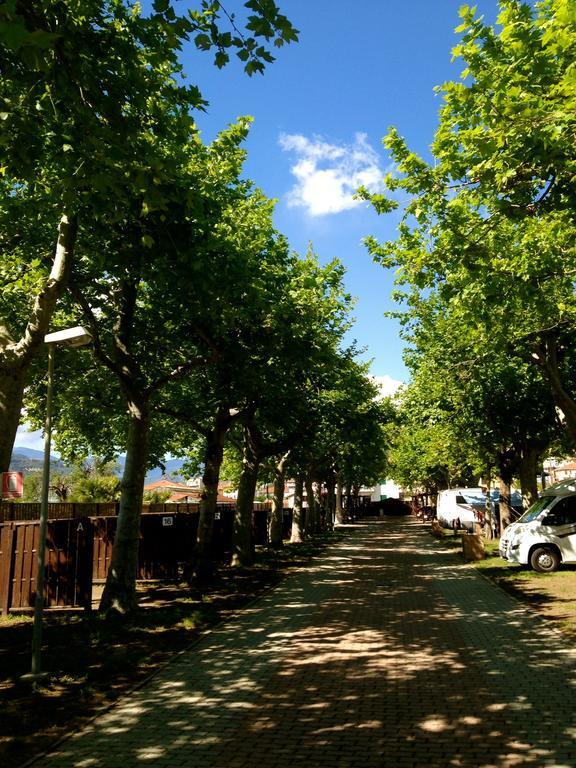 Camping Vallecrosia Kültér fotó